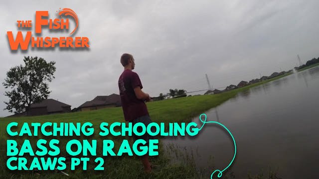 Catching Schooling Bass on Rage Craws...