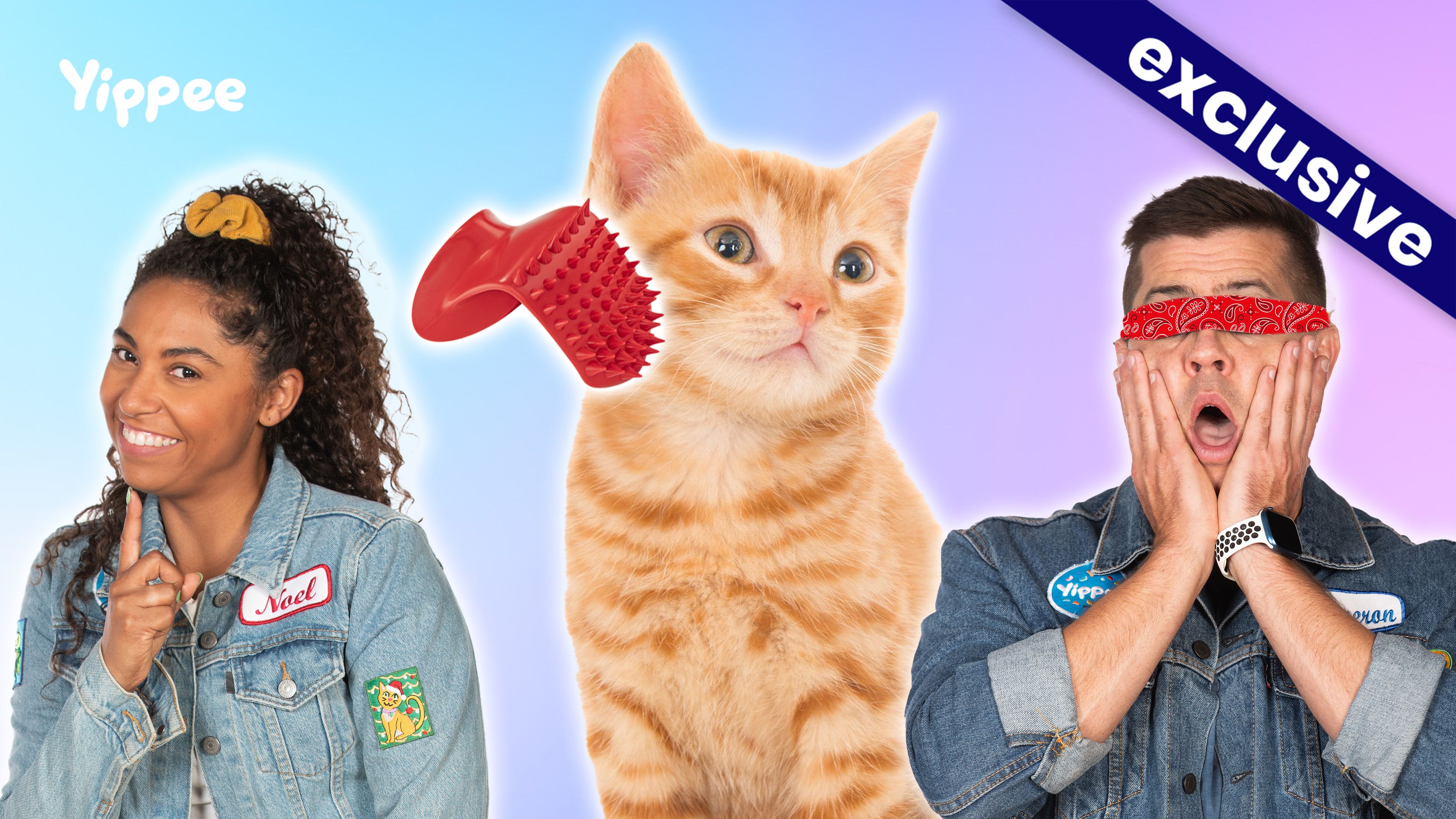 A Cat-tastic Mystery Jingle!