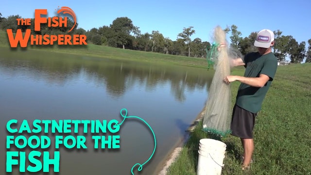 Cast-Netting Food for the Fish!