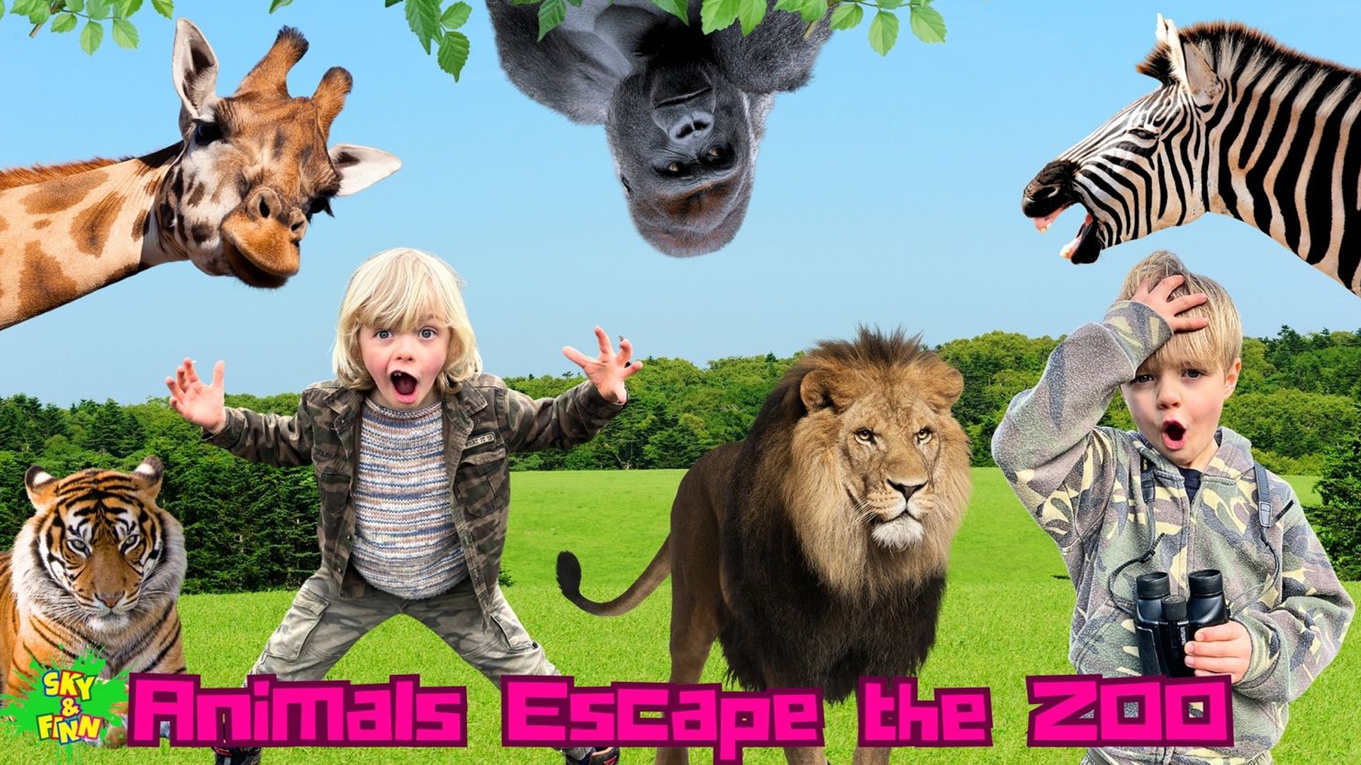Animals Escape the Zoo