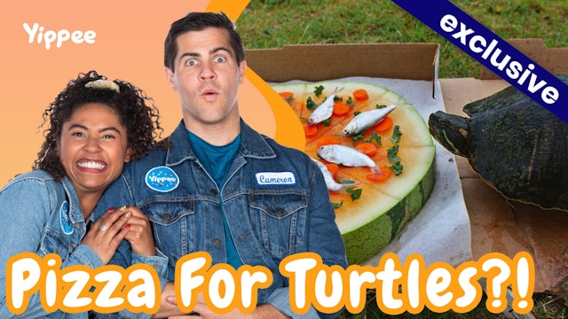 Pizza For Turtles?!