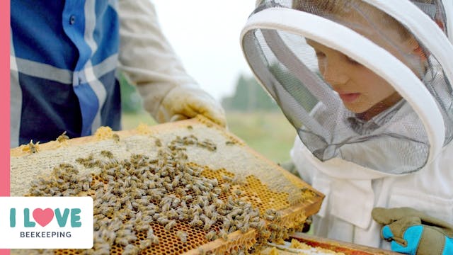 Beekeeping