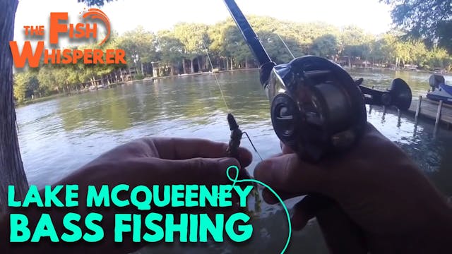 Lake McQueeney Bass Fishing