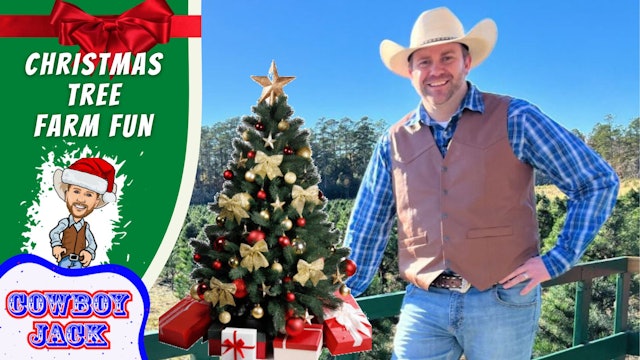 Christmas Tree Farm Fun Educational Videos for Kids