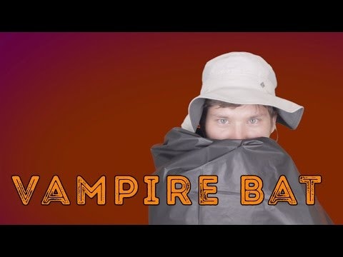 Vampire Bats - Animal Facts