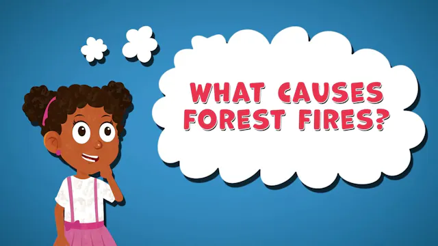 I WONDER - What causes Forest Fires?