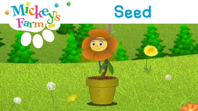 Seed