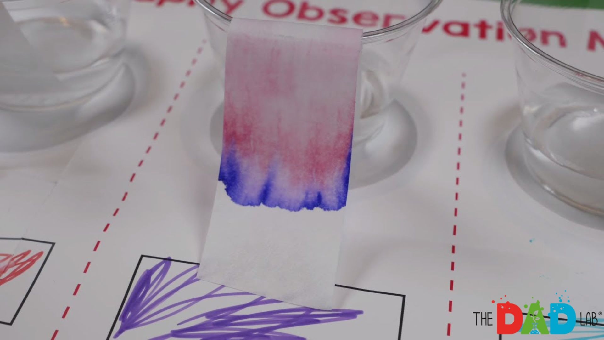 Science Experiments For Kids In A Box