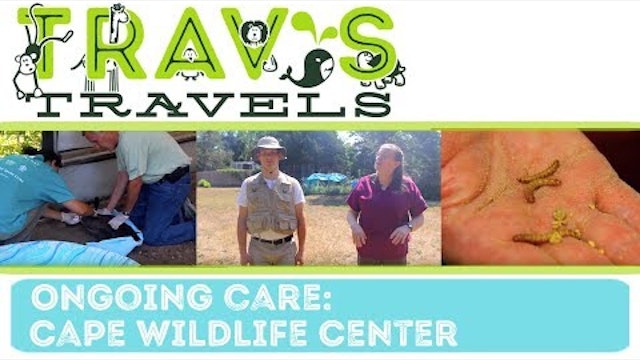 Cape Wildlife Center- Ongoing Care