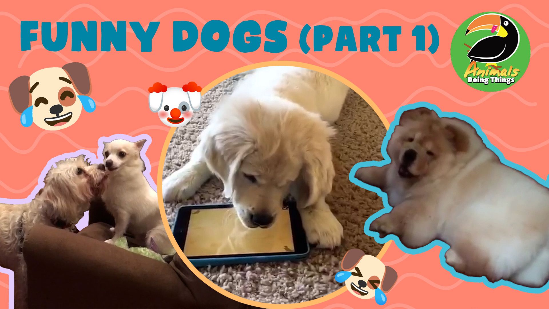 Animals Doing Things | Funny Dogs Part 1