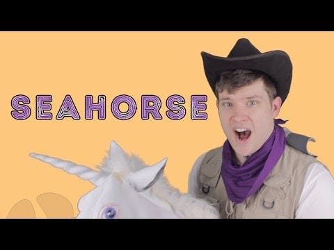 Seahorse - Animal Facts 