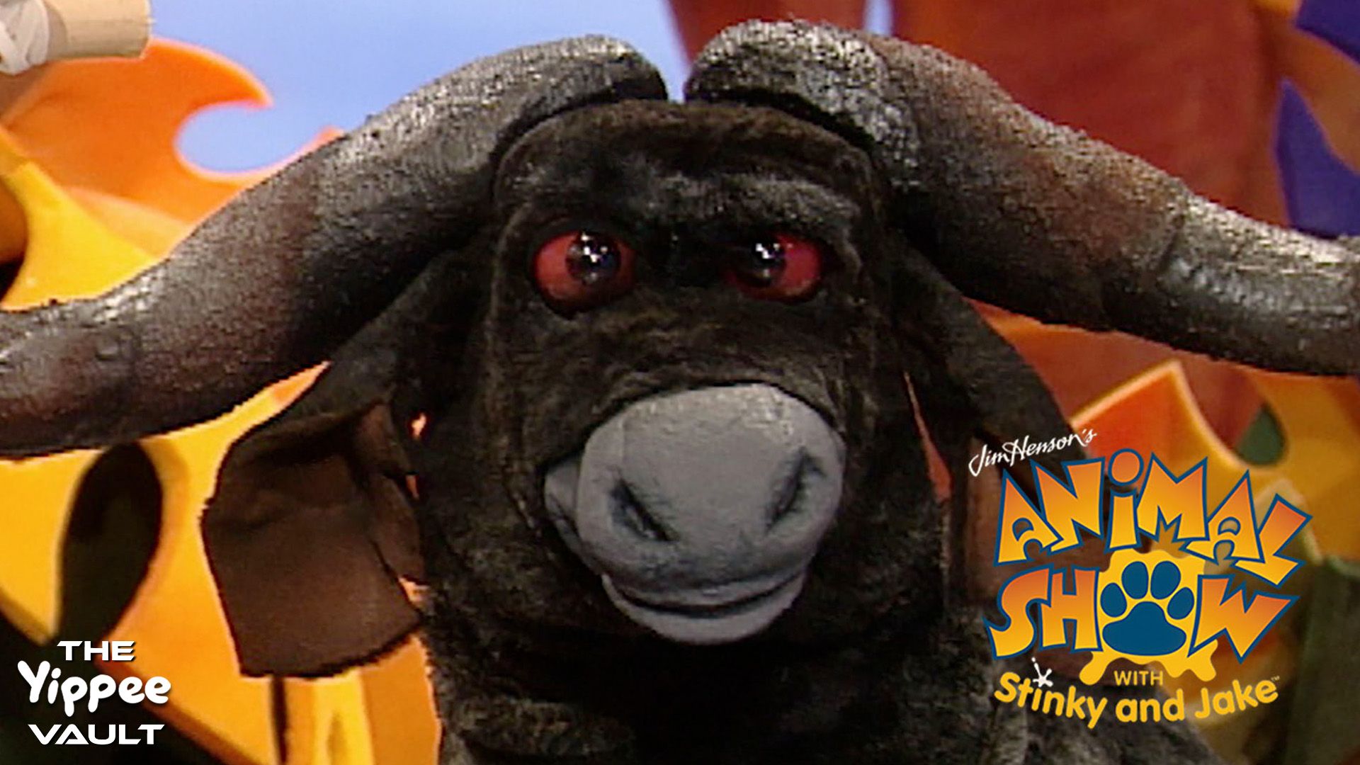 Hippopotamus & African Buffalo