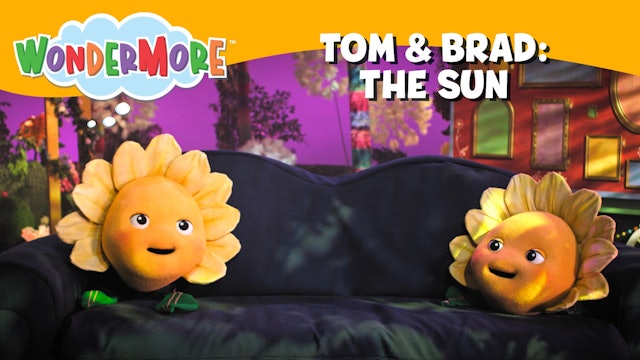 Tom & Brad: The Sun