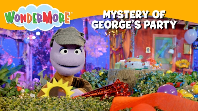 Mystery of George's Party
