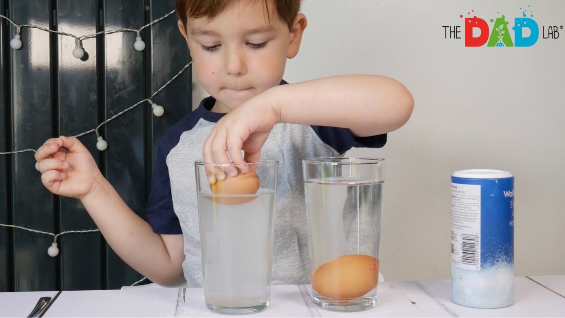Salt Water Egg Experiment