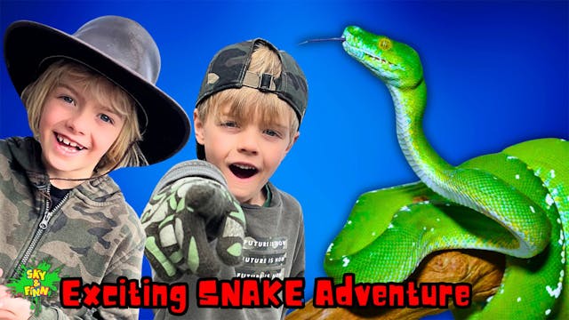 Exciting Snake Adventure
