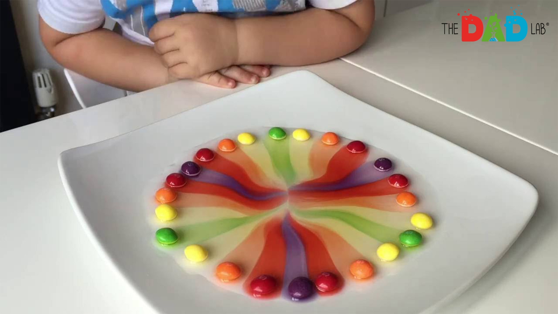 Kids Science Experiment With Skittles