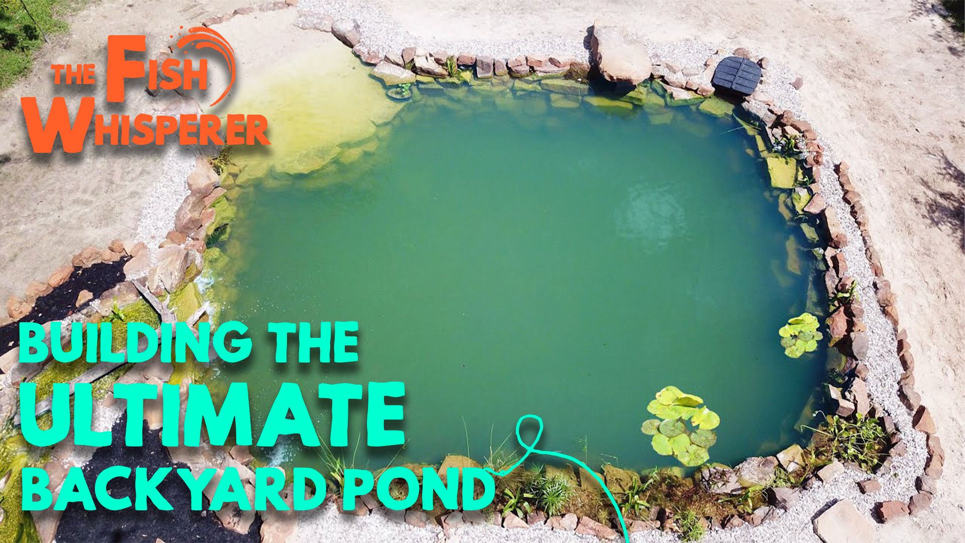 Building The Ultimate Backyard Pond! (Adding Plants)