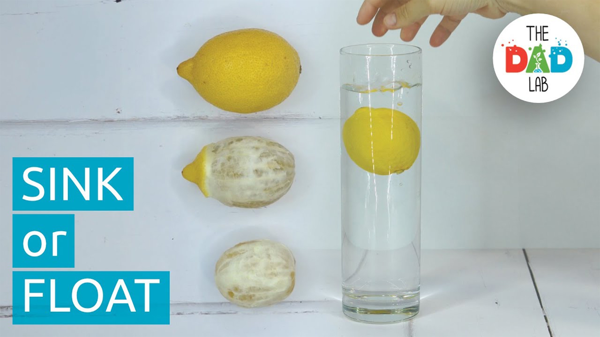 Exploring Density with Lemon: Sink or Float 