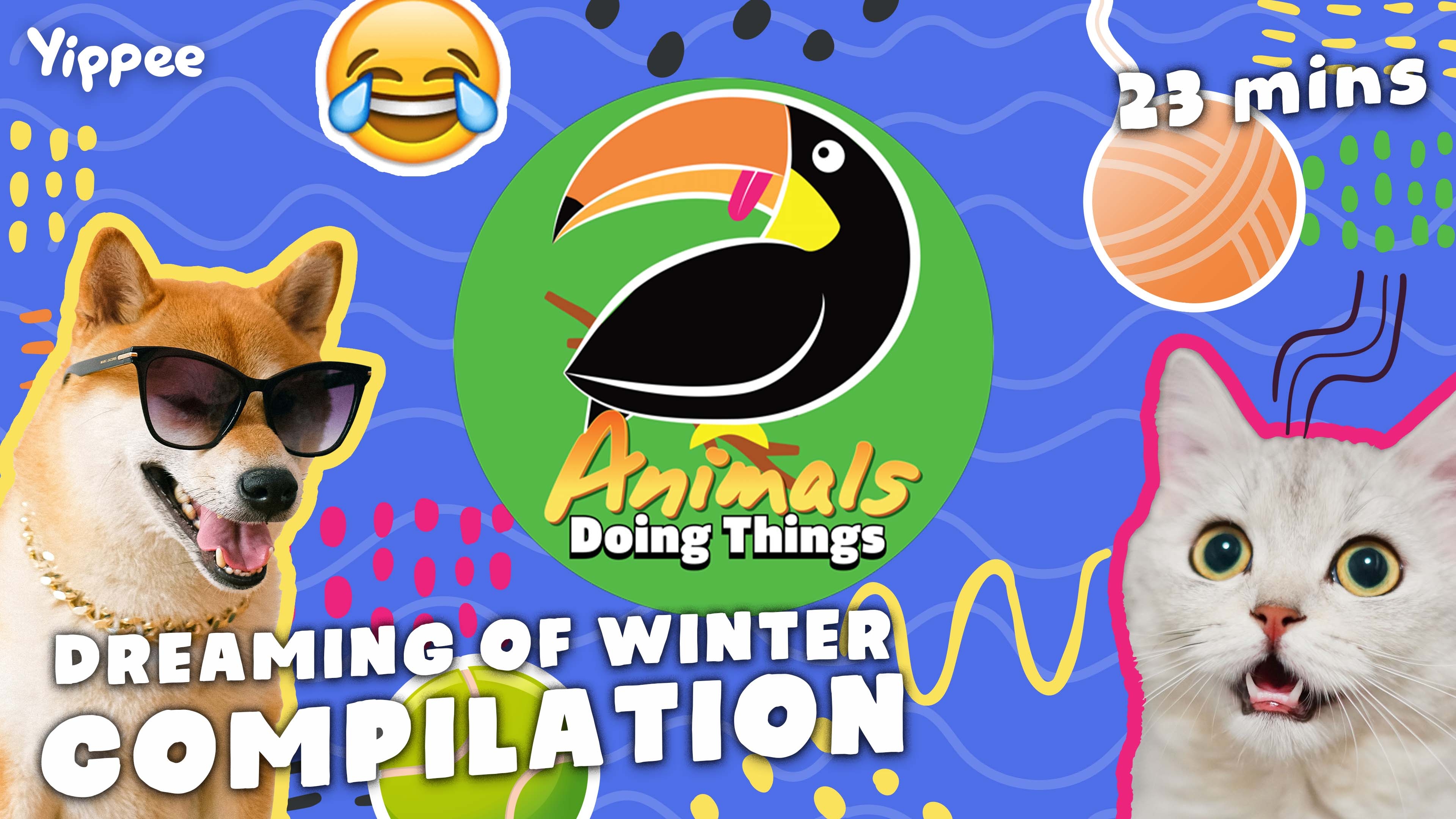 Animals Doing Things | Dreaming of Winter - Compilation