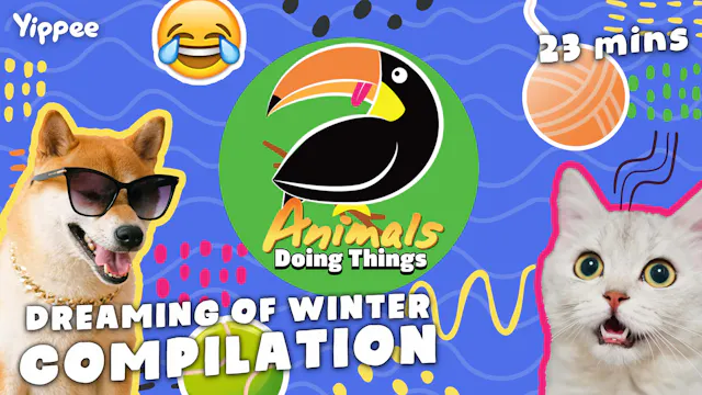 Animals Doing Things | Dreaming of Wi...