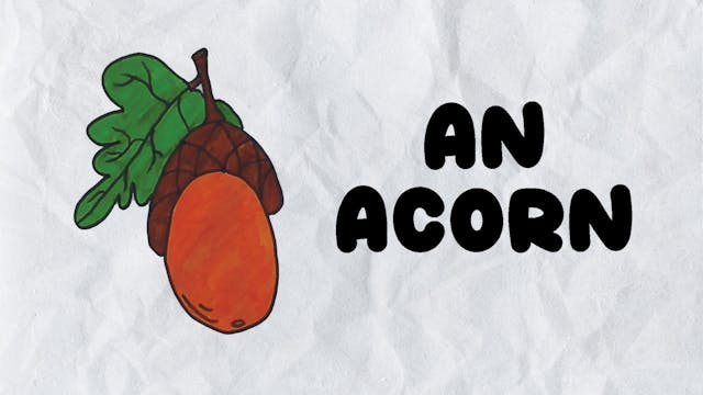 Learn to Draw An Acorn