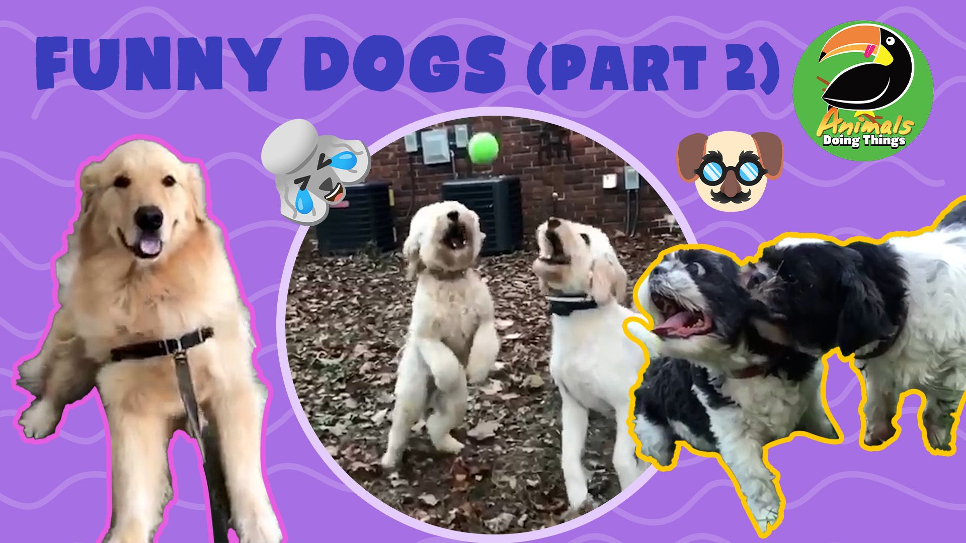 Animals Doing Things | Funny Dogs Part 2