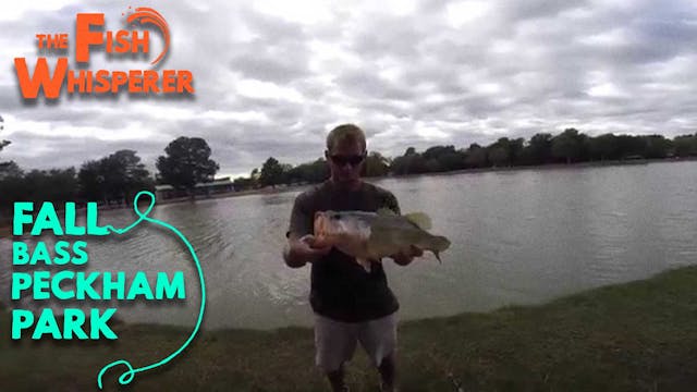 Fall Bass Peckham Park