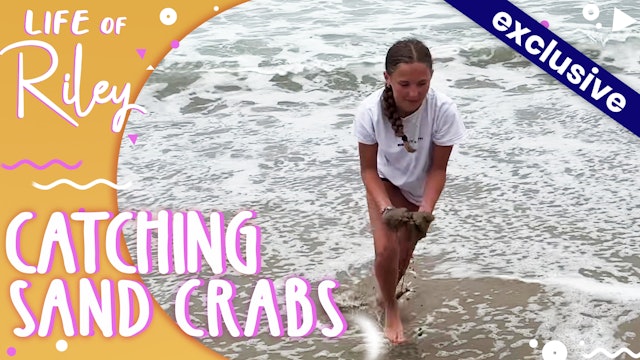 Catching Sand Crabs
