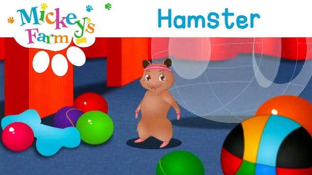 Hamster