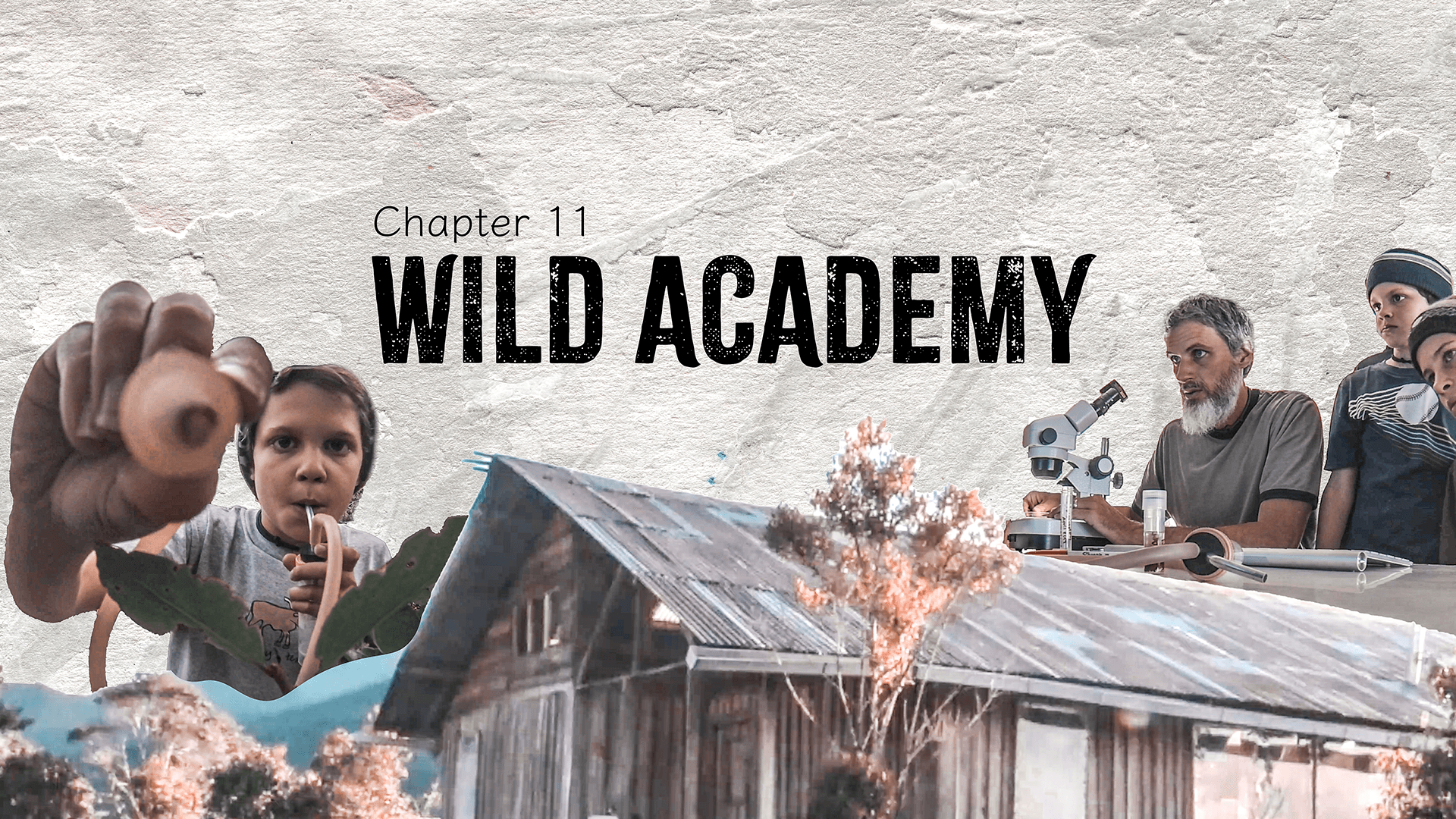 Wild Academy
