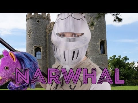 Narwhal - Animal Facts 