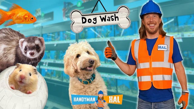 Handyman Hal Works at Pet Store