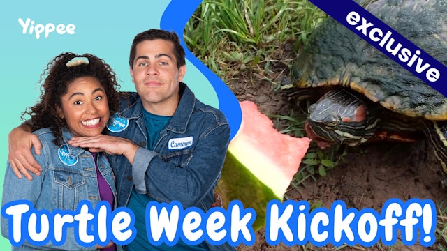 Turtle Week Kickoff