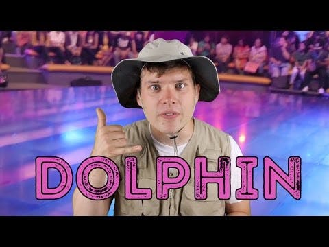 Dolphin - Animal Facts 