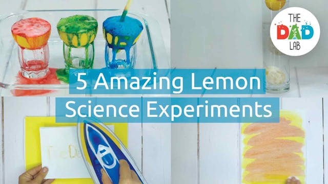 5 Cool Lemon Science Experiments