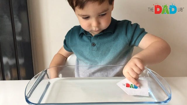 Kids Science: Soap Powered Boat