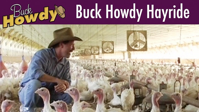 Buck Howdy Hayride