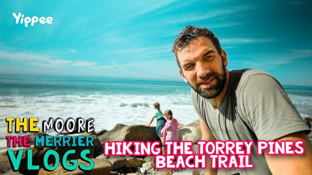 Hiking The Torrey Pines Beach Trail I...