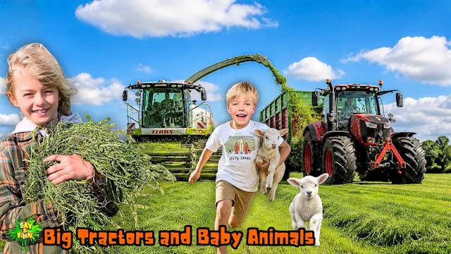 Big Tractors and Baby Animals on the ...