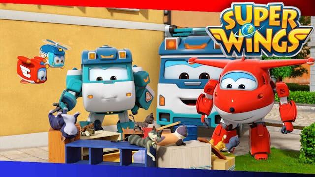 Cat Tower Catastrophe