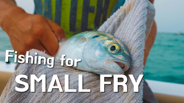 Fishing for Small Fry