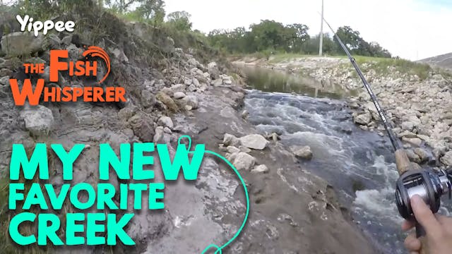 My New Favorite Creek!