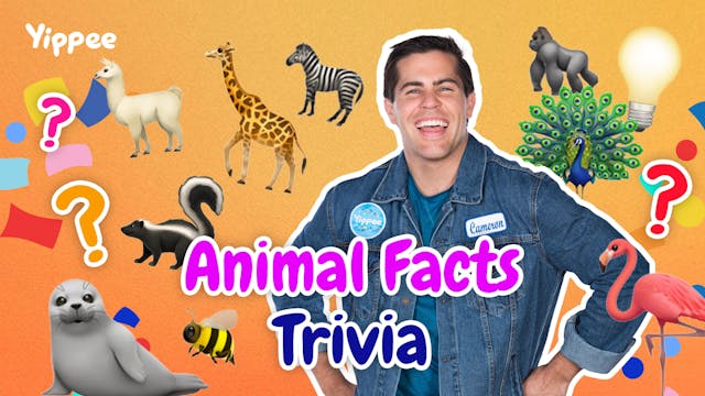 Animal Trivia Challenge