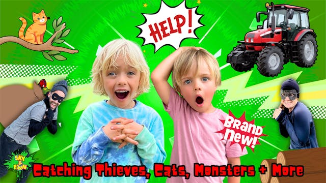 Catching Thieves, Cats, Monsters + More!