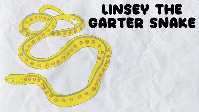 Learn to Draw Linsey The Garter Snake