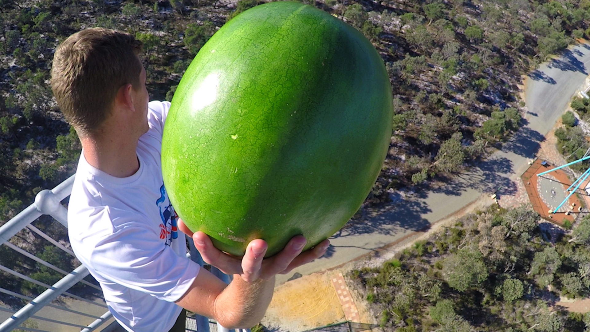 CATCHING FRUIT from 45m TOWER!