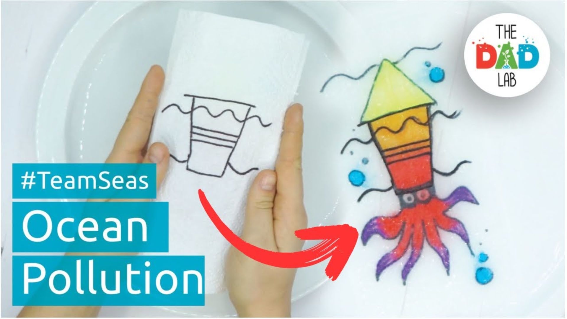 Save the Ocean Kids Activity