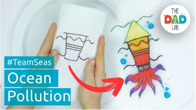 Save the Ocean Kids Activity