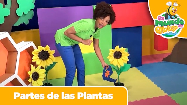 17 - Partes de las Plantas (Parts of the Plants)